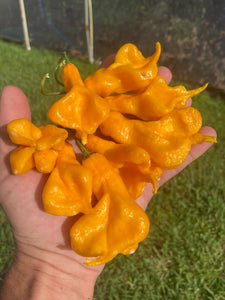 Soul Squeeze (Pepper Seeds)