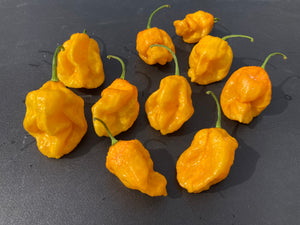 Crown Douglah (Pepper Seeds)