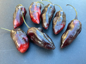 Red Horizon XD (Pepper Seeds) (Limited)