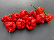 Load image into Gallery viewer, 7 Pot Brainstrain Red (Pepper Seeds)