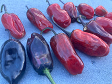 Load image into Gallery viewer, Bryan’s Blood (Darkside Mix) (Pepper Seeds)