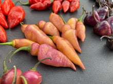 Load image into Gallery viewer, Pink Wendigo (T-E) (Pepper Seeds)