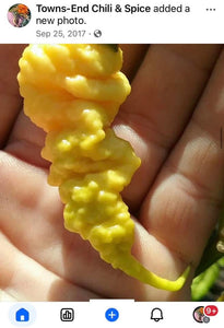 California Reaper (Pepper Seeds)