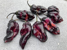 Load image into Gallery viewer, Pandora’s Box Pimenta Jolokia/PJ Mix (Pepper Seeds)