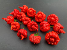 Load image into Gallery viewer, RB003 (Pepper Seeds)