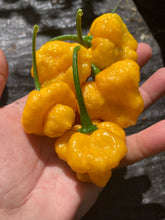 Load image into Gallery viewer, Kokomo Bonnet (Pepper Seeds)