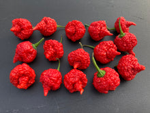 Load image into Gallery viewer, RB003 (Pepper Seeds)