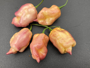 Pink Voltron (T-E)(Pepper Seeds)