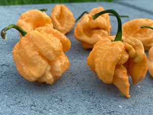 Fujiwhara (Pepper Seeds)