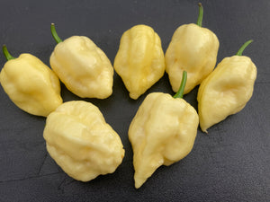 Kremnine (T-E)(Pepper Seeds)