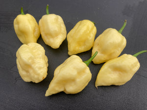 Kremnine (T-E)(Pepper Seeds)