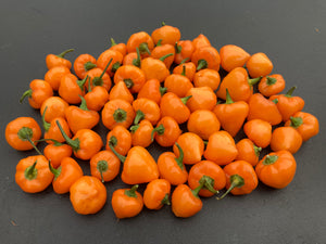 Chuparita (Mix)(T-E) (Pepper Seeds)