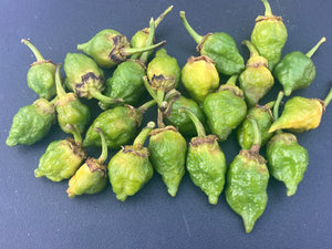 MonsterGum Leopard (Green)(Pepper Seeds)