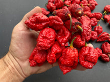 Load image into Gallery viewer, MedullaGum (Pepper Seeds)