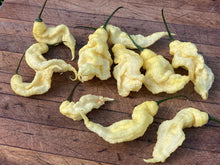 Load image into Gallery viewer, White Ghost Scorpion Mix (Bumpy, XL, &amp; Meringue) (Pepper Seeds)