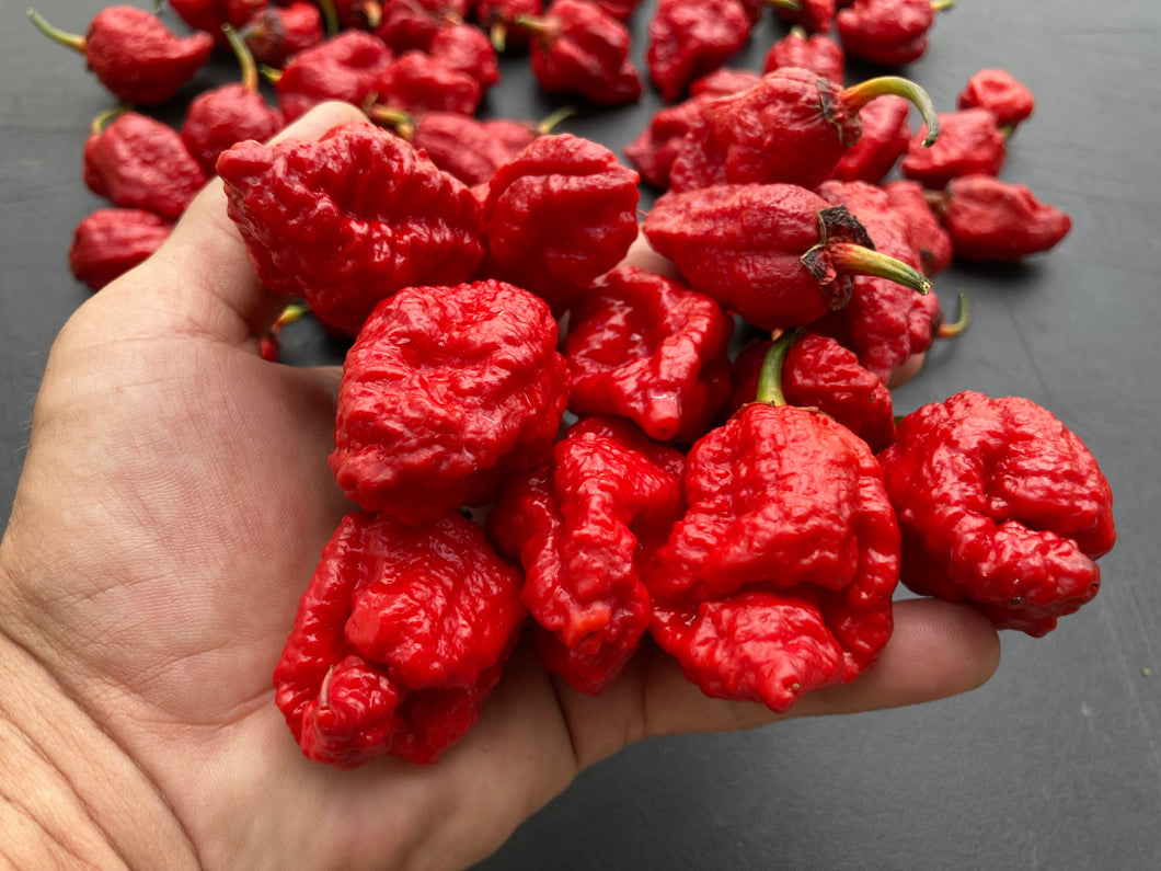 MedullaGum (Pepper Seeds)