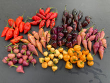 Load image into Gallery viewer, Chuparita (Mix)(T-E) (Pepper Seeds)