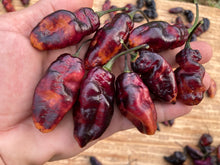 Load image into Gallery viewer, Pandora’s Box Pimenta Jolokia/PJ Mix (Pepper Seeds)