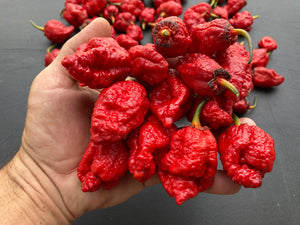MedullaGum (Pepper Seeds)