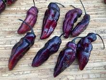 Load image into Gallery viewer, Pandora’s Box Pimenta Jolokia/PJ Mix (Pepper Seeds)