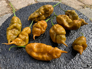 Green GhostScorpion T-E (Limited)(Pepper Seeds)