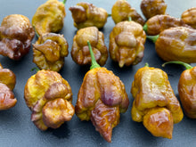 Load image into Gallery viewer, Golden Haze Horizon (Pepper Seeds)