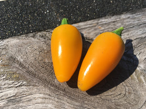 Yellow Jalapeno (Pepper Seeds)