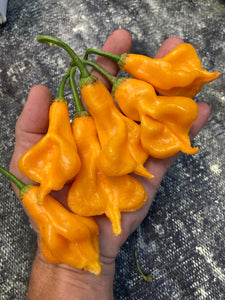 Soul Squeeze (Pepper Seeds)