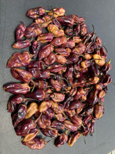Load image into Gallery viewer, Dark BBG Horizon (Pepper Seeds)