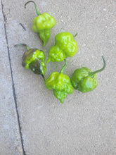 Load image into Gallery viewer, Jays x Pink x Reaper “Da Hulk” and Peachy “Lemon” combo (Pepper Seeds)