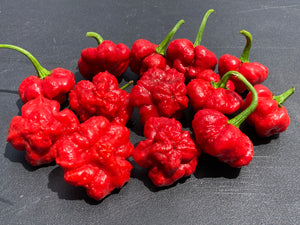 Scotch Bonnet (Red Foodorama) (Pepper Seeds)