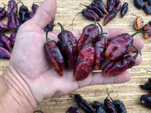 Load image into Gallery viewer, Pandora’s Box Pimenta Jolokia/PJ Mix (Pepper Seeds)