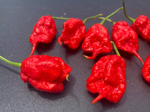 Primotalii Red (Pepper Seeds)