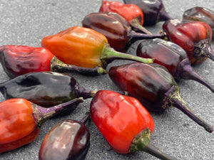 Bryan’s Vulcan Blood (Pepper Seeds)