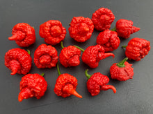 Load image into Gallery viewer, RB003 (Pepper Seeds)