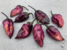 Load image into Gallery viewer, Pandora’s Box Pimenta Jolokia/PJ Mix (Pepper Seeds)