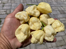 Load image into Gallery viewer, KrémNine (T-E)(Pepper Seeds)