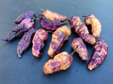 Load image into Gallery viewer, Thanos (Pepper Seeds)