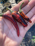 Pickles Blood (Spattered)(Pepper Seeds)