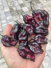 Load image into Gallery viewer, Pandora’s Box Pimenta Jolokia/PJ Mix (Pepper Seeds)