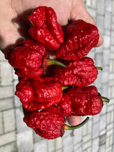 Load image into Gallery viewer, MedullaGum (Pepper Seeds)