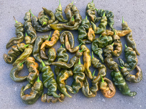 Habanero Mustard Lightning (Pepper Seeds)