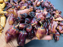 Load image into Gallery viewer, Dark BBG Horizon (Pepper Seeds)