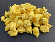 Meringue Ghost Scorpion (Pepper Seeds)