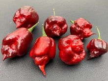 Load image into Gallery viewer, Maroon Voltron (T-E)(Pepper Seeds)