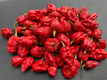 Load image into Gallery viewer, MedullaGum (Pepper Seeds)