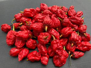 MedullaGum (Pepper Seeds)