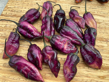 Load image into Gallery viewer, Pandora’s Box Pimenta Jolokia/PJ Mix (Pepper Seeds)