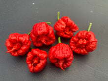 Load image into Gallery viewer, Carolina Reaper Red (Pepper Seeds)