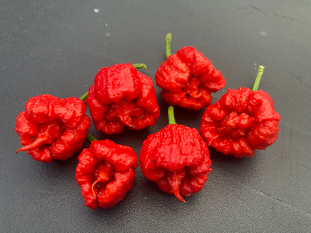 Carolina Reaper Red (Pepper Seeds)